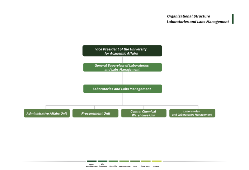 Green Organizational Structure detailing the units of the management